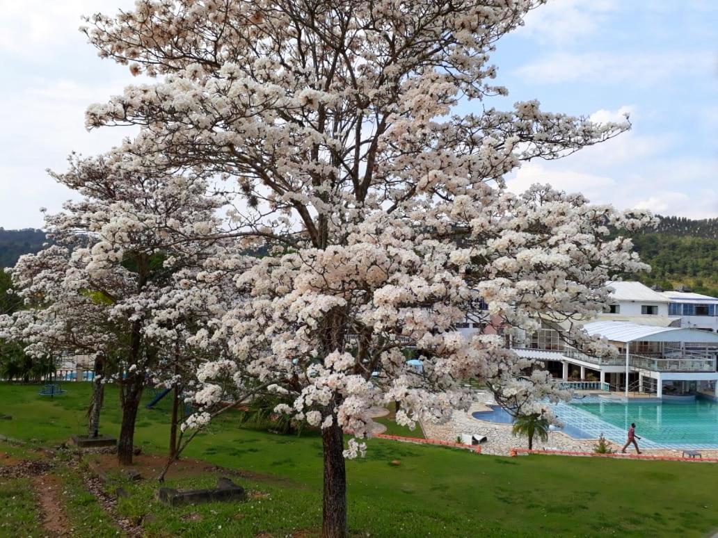 Vale Do Encantado Park Hotel Fazenda 과라레마 외부 사진